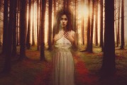 白狐之夢(mèng)，神秘與幻想的交織，白狐之夢(mèng)，神秘與幻想的交織