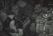 蒸汽奇緣，雙人游戲新潮流的引領者，蒸汽奇緣，創(chuàng)新雙人游戲的魅力與影響力