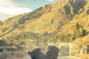 探索Mia免費(fèi)游戲世界，一個(gè)全新的冒險(xiǎn)旅程，進(jìn)入Mia的免費(fèi)游戲世界，全新冒險(xiǎn)旅程的探索開始！