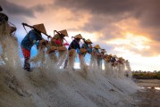 種地免費(fèi)游戲，開啟你的農(nóng)業(yè)夢想之旅，種地大富翁，啟動(dòng)你的農(nóng)田冒險(xiǎn)之旅，免費(fèi)享受農(nóng)業(yè)的樂趣