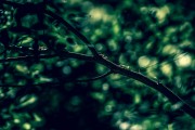 夢(mèng)到掉牙齒，解讀夢(mèng)境中的象征意義，解讀夢(mèng)境中的象征意義，夢(mèng)到掉牙齒的含義