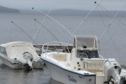 海峽釣魚論壇注冊(cè)指南，輕松入門，暢享釣魚樂趣，海峽釣魚論壇注冊(cè)攻略，新手快速上手，體驗(yàn)釣魚之樂