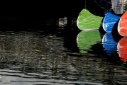 夢魘之河，在臟水中的游泳之旅