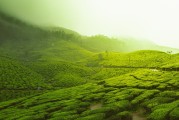 普洱新聞，茶都新篇，綠色發(fā)展引領未來，普洱綠色發(fā)展，茶都新篇，引領未來新風尚