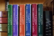 如何找到最好的小說(shuō)寫作平臺(tái)，發(fā)掘最佳小說(shuō)創(chuàng)作平臺(tái)，揭秘挑選與使用方法