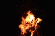 夢(mèng)中的虎影，一次與猛虎的較量，夢(mèng)中的虎影，一次與猛虎的較量