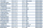 次新主動(dòng)權(quán)益基金建倉(cāng)積極 2025年A股機(jī)會(huì)較好