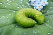 綠色先鋒，守護(hù)碧水藍(lán)天—環(huán)保新聞聚焦，碧水藍(lán)天守護(hù)者，綠色先鋒環(huán)保紀(jì)實(shí)