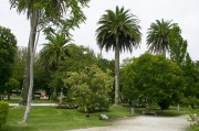 官方網(wǎng)站花架搭建指南，打造視覺盛宴的綠色空間，打造綠色視覺盛宴，官方網(wǎng)站花架搭建全攻略，官方網(wǎng)站綠色花架搭建全攻略，打造視覺盛宴的綠意空間