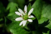 夢(mèng)到親人離世，心靈的觸動(dòng)與解讀，夢(mèng)到親人離世，心靈的觸動(dòng)與解讀