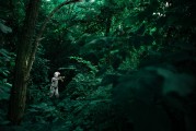 夢(mèng)境中的動(dòng)物世界，一場(chǎng)奇幻的夢(mèng)境之旅