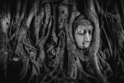 夢(mèng)中的神秘之旅，與大烏龜?shù)腻忮耍瑝?mèng)中神秘之旅，與大烏龜?shù)腻忮? title=