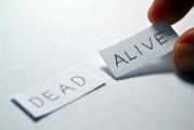 輕松掌握注冊號識別技巧，輕松應對各類查詢需求，注冊號識別攻略，輕松應對查詢難題