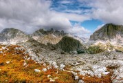 夢(mèng)中的酒香，一場(chǎng)醉人的夢(mèng)境之旅，夢(mèng)中的酒香，醉人的夢(mèng)境之旅