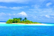 海魚之夢，探索夢境深處的海洋奧秘，海魚之夢，探索夢境深處的海洋奧秘