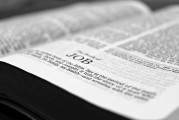 如何查看淘寶注冊日期？，如何查詢淘寶賬號的注冊日期？