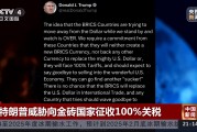 特朗普威脅向金磚國(guó)家征收100%關(guān)稅！專(zhuān)家：加關(guān)稅會(huì)讓很多美國(guó)企業(yè)破產(chǎn)