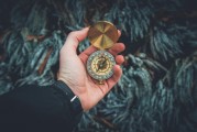 夢中的白發(fā)生長，一次關(guān)于時間、衰老與自我認知的探索，夢中的白發(fā)生長，時間、衰老與自我認知的探索