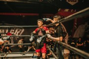格斗游戲的狂熱與挑戰(zhàn)——探尋免費版的力量，探索付費格斗游戲，免費版本的力量