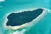 夢(mèng)到抓魚的奇幻之旅，夢(mèng)中之魚，奇幻的抓魚之旅