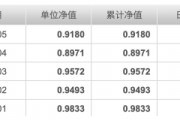 封閉期結(jié)束凈值接連重挫，建倉(cāng)節(jié)奏成謎，申萬(wàn)菱信行業(yè)精選混合基金陷“過(guò)山車(chē)式”開(kāi)局