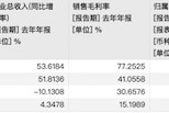 2024智駕年報透視：輔助駕駛扭虧為盈，自動駕駛?cè)詿X