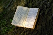 夢到書，一場心靈與知識的奇妙旅程，夢中的書，心靈與知識的奇妙旅程