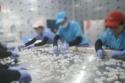 查封！關停！各地多部門連夜查處3·15曝光問題