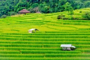 一款讓玩家深度體驗(yàn)農(nóng)業(yè)種植樂趣的免費(fèi)農(nóng)場種菜游戲，耕作樂土，輕松有趣的農(nóng)業(yè)種植游戲