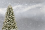 桌面圣誕樹插件網(wǎng)站，點(diǎn)亮冬日溫馨，增添節(jié)日氣氛