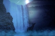 夢(mèng)境中的獅子與老虎，一場(chǎng)心靈的覺(jué)醒之旅，夢(mèng)境中的獅子與老虎，心靈的覺(jué)醒之旅