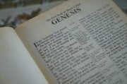 輕松入門，教你如何在論壇注冊賬號，論壇新手指南，輕松注冊賬號全攻略