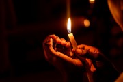 燃燒的生命——螢火蟲（寓言故事），螢火蟲的奧秘