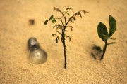 輕盈的夏日午后——輕松享受薄荷游戲免費(fèi)，輕松享受，夏季薄荷游戲——只用一包薄荷
