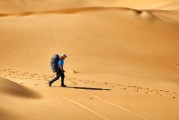 夢(mèng)中的書香之旅，夢(mèng)中的書香之旅，探索知識(shí)的奇幻之旅