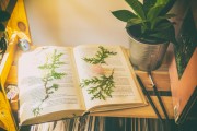 免費(fèi)游戲的春天，11個(gè)值得推薦的游戲，最新11款免費(fèi)游戲推薦，春天來(lái)臨的免費(fèi)游戲狂歡盛宴