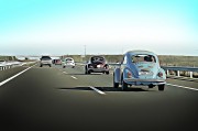賽車之夢，速度與激情的交織，賽車之夢，速度與激情的交織