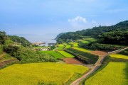 湘西網(wǎng)站流量，助力鄉(xiāng)村振興的數(shù)字引擎