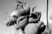 夢(mèng)到被蛇追著咬，解讀夢(mèng)境的深層含義，夢(mèng)境解讀，被蛇追咬的深層含義