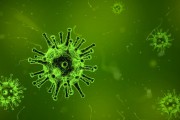澳大利亞出現(xiàn)新冠新變種 FluQE：傳染性更高，幾周內(nèi)病例或激增