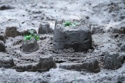 夢(mèng)中的雷擊，心靈的覺醒之旅，夢(mèng)中的雷擊，心靈的覺醒之旅