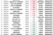 基金“自購(gòu)潮”業(yè)績(jī)顯分化：29只權(quán)益類(lèi)基金僅4為正收益，華安先進(jìn)制造A年內(nèi)跌12%墊底