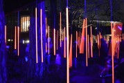 夢中喜宴，一場難忘的盛宴，夢中喜宴，難忘的盛宴之旅