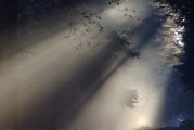 夢中情愫，解析夢中有人喜歡自己的心理奧秘，解析夢中有人喜歡自己的心理奧秘，夢中情愫的探索