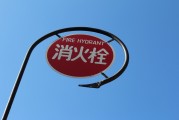 無(wú)廣告、無(wú)內(nèi)購(gòu)、無(wú)充值的跑酷游戲大放送！為愛(ài)發(fā)電