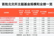 北交所主題基金 最高大賺50%！
