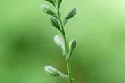 搭建菠菜網(wǎng)站的重要性與步驟，重要性，為何搭建菠菜網(wǎng)站？步驟指南