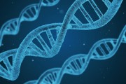 搭建一個(gè)功能完善的wap網(wǎng)站需要經(jīng)過許多步驟和復(fù)雜的技術(shù)。本文將詳細(xì)介紹如何搭建一個(gè)基本的wap網(wǎng)站，并通過實(shí)例演示其開發(fā)過程。，基礎(chǔ)wap網(wǎng)站搭建步驟及實(shí)例演示