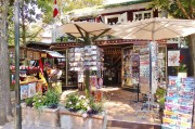 寧夏展館搭建網(wǎng)站，打造數(shù)字展示新平臺，助力寧夏文化旅游產(chǎn)業(yè)發(fā)展，寧夏文化旅游產(chǎn)業(yè)新引擎，數(shù)字展館網(wǎng)站助力寧夏旅游騰飛，數(shù)字引擎驅(qū)動寧夏旅游，寧夏文化旅游產(chǎn)業(yè)新平臺上線