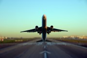 雛鳥之夢(mèng)，一場(chǎng)深邃的心靈之旅